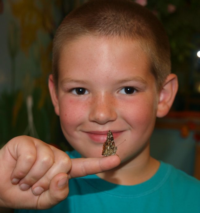 boy holding small butterfly