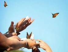 releasing butterflies
